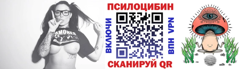 площадка формула  Карачаевск  KRAKEN онион  Псилоцибиновые грибы прущие грибы  наркота 