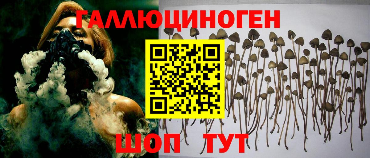 Псилоцибиновые грибы мухоморы Карачаевск