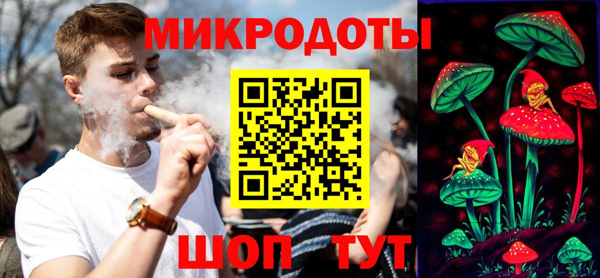 Карачаевск  Псилоцибиновые грибы Psilocybine cubensis  Вход с VPN 